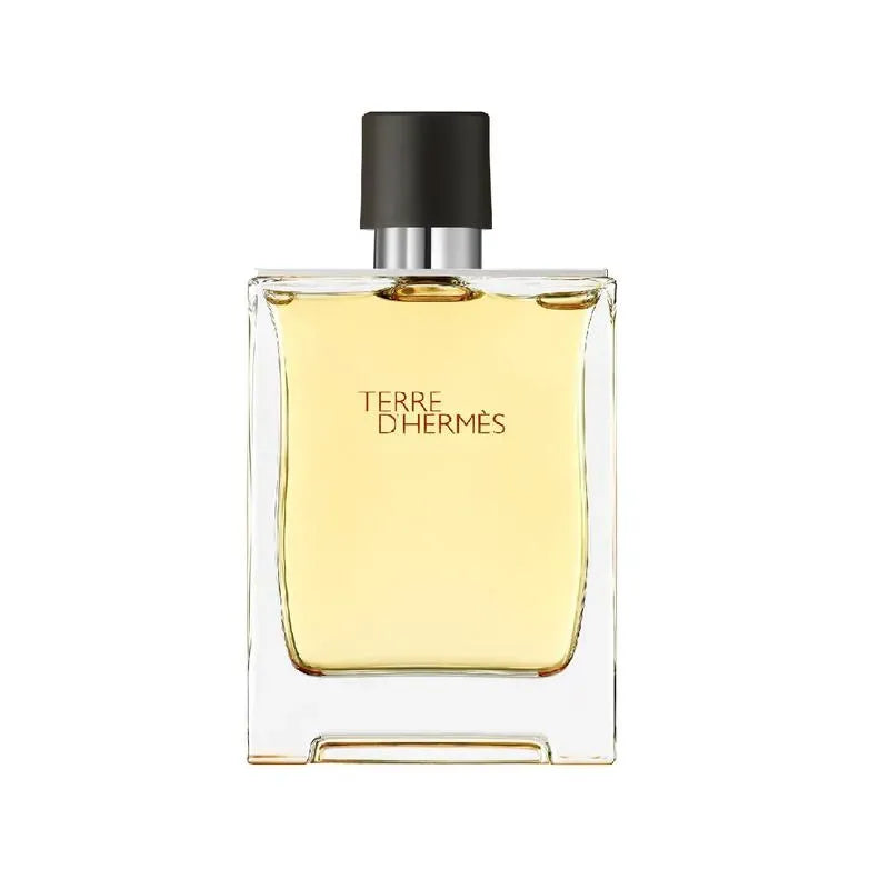 Hermes Terre D'Hermes EDT For Men 100ML Perfume