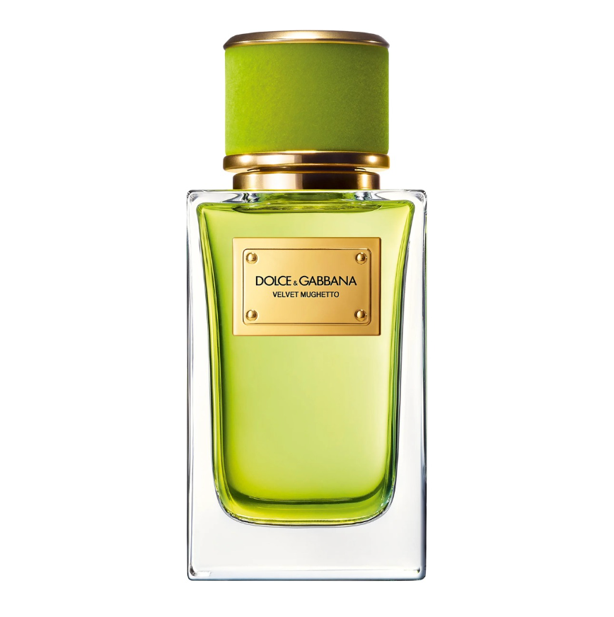 Buy Dolce & Gabbana Velvet Mughetto Eau de Parfum 100 ml in UAE | Liperla Perfume