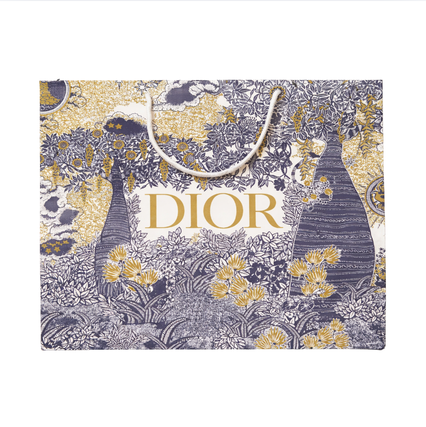 Buy Dior Gift Bag in UAE | Liperla Perfume