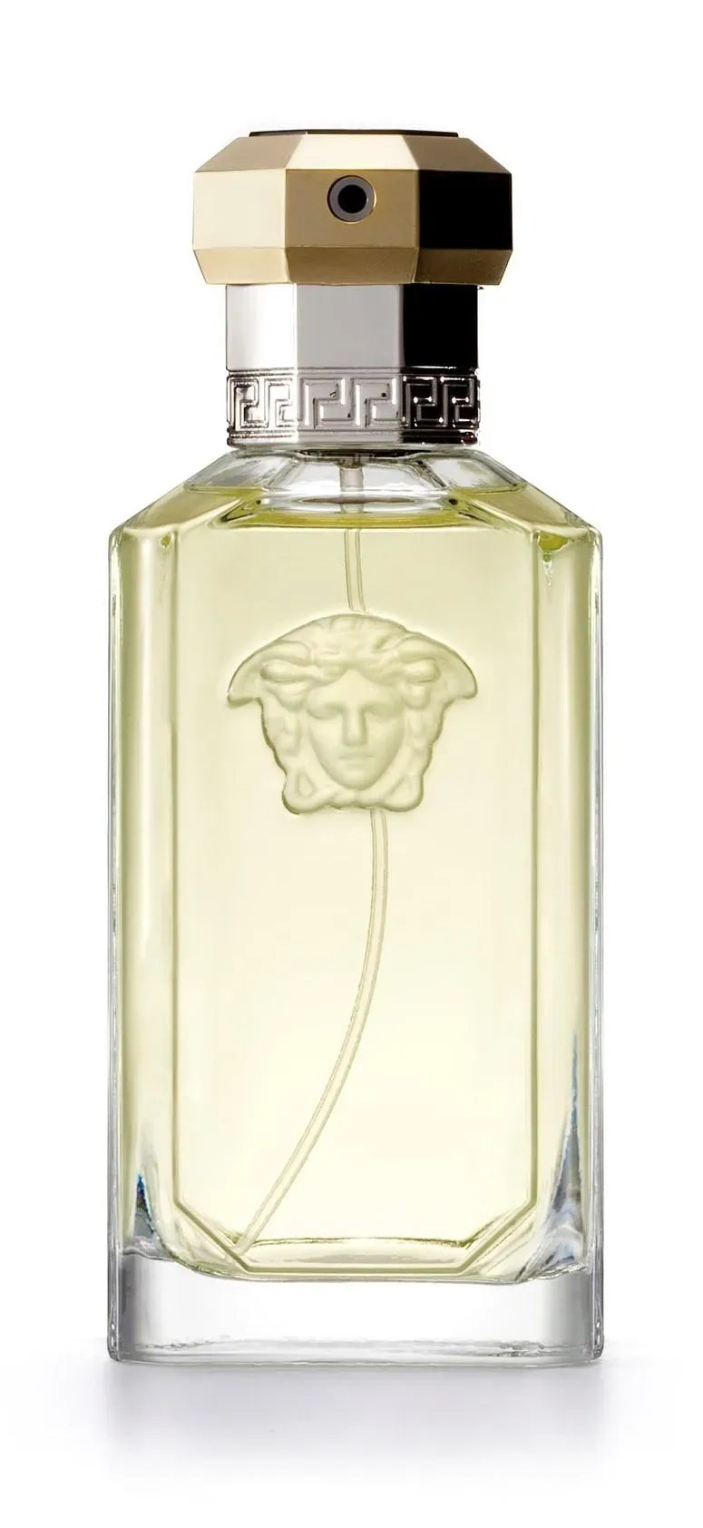 Versace The Dreamer EDT For Men 100ML Perfume