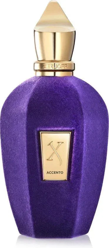 Xerjoff Accento EDP Unisex 100ML Perfume
