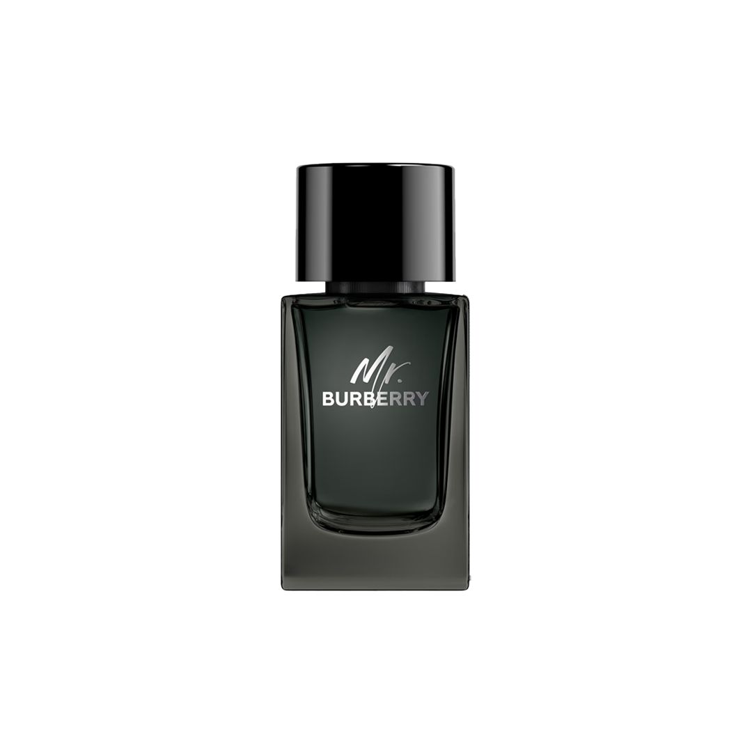 Burberry Mr. Burberry EDP For Men 100ML Perfume