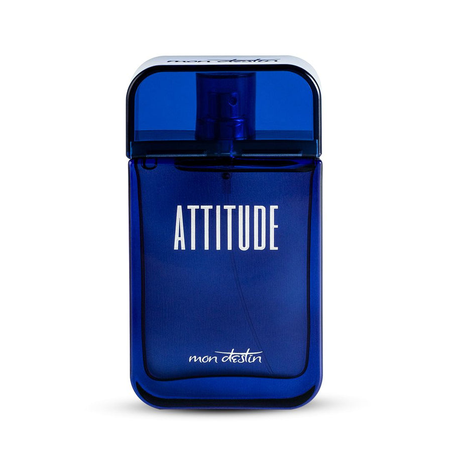 Mon Destin Attitude EDP For Men 100ML Perfume